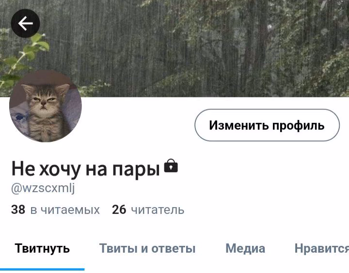 87feec414f4b0cd5a47447dfba028f1f.avif