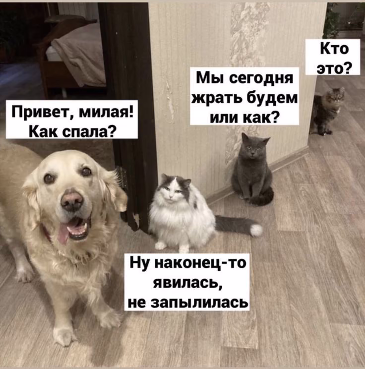883846780d1bdd4a195228db54a1f0cd.avif