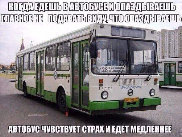 884361a41a6061ff1cc549f2842891af.avif