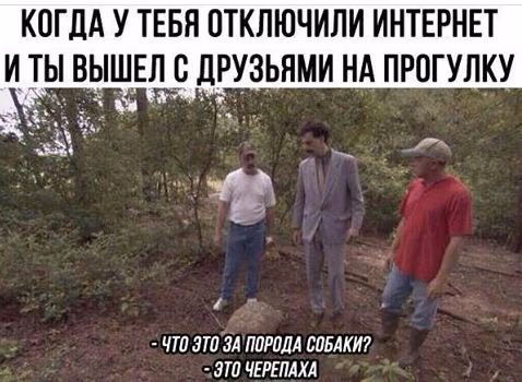 8850b1fba22887206b1b89abec1209de.jpg