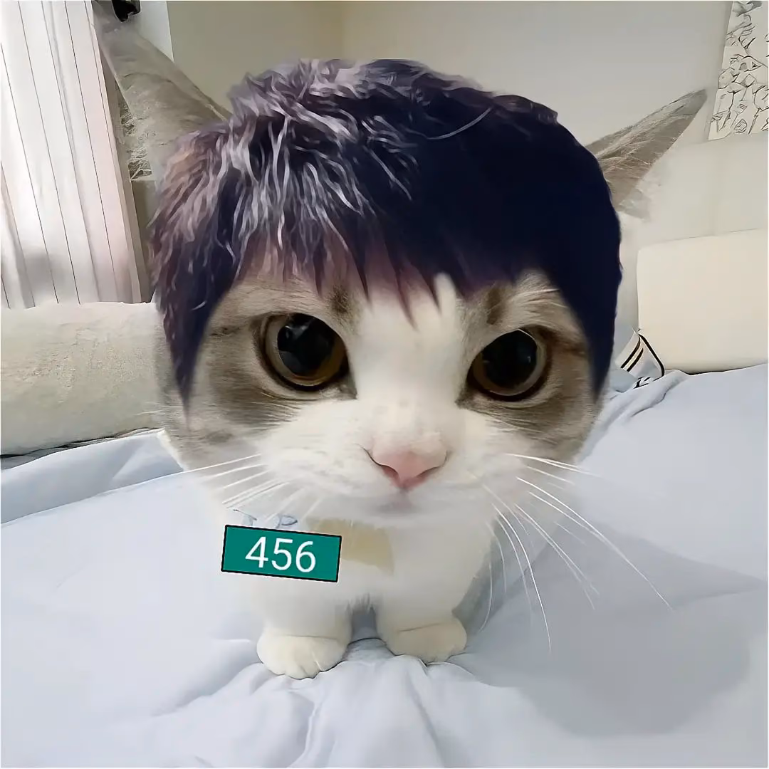 885801708773d9ecf8ed81a89824371d.avif