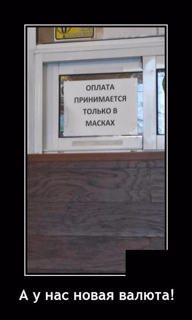 88658b960c18346038fe4af64d14ce01.jpg