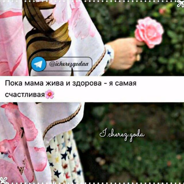 88856b53a55bd9d50ebf1da66d2fceb2.jpg