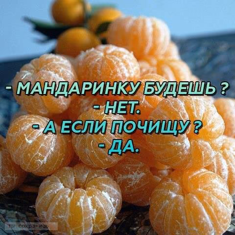 8888b5fe535042b2499b52485824b58d.jpg