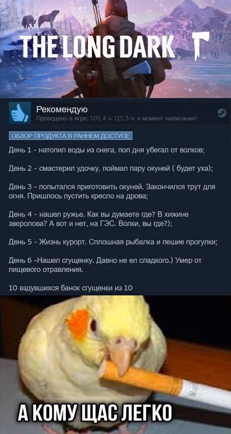 8889d5a1c3030d354f77a6e8e925a497.avif