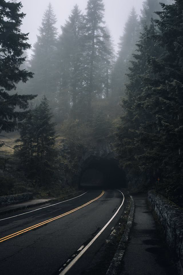 88921ce85b0b4f8c913f65c78f796b6c.avif