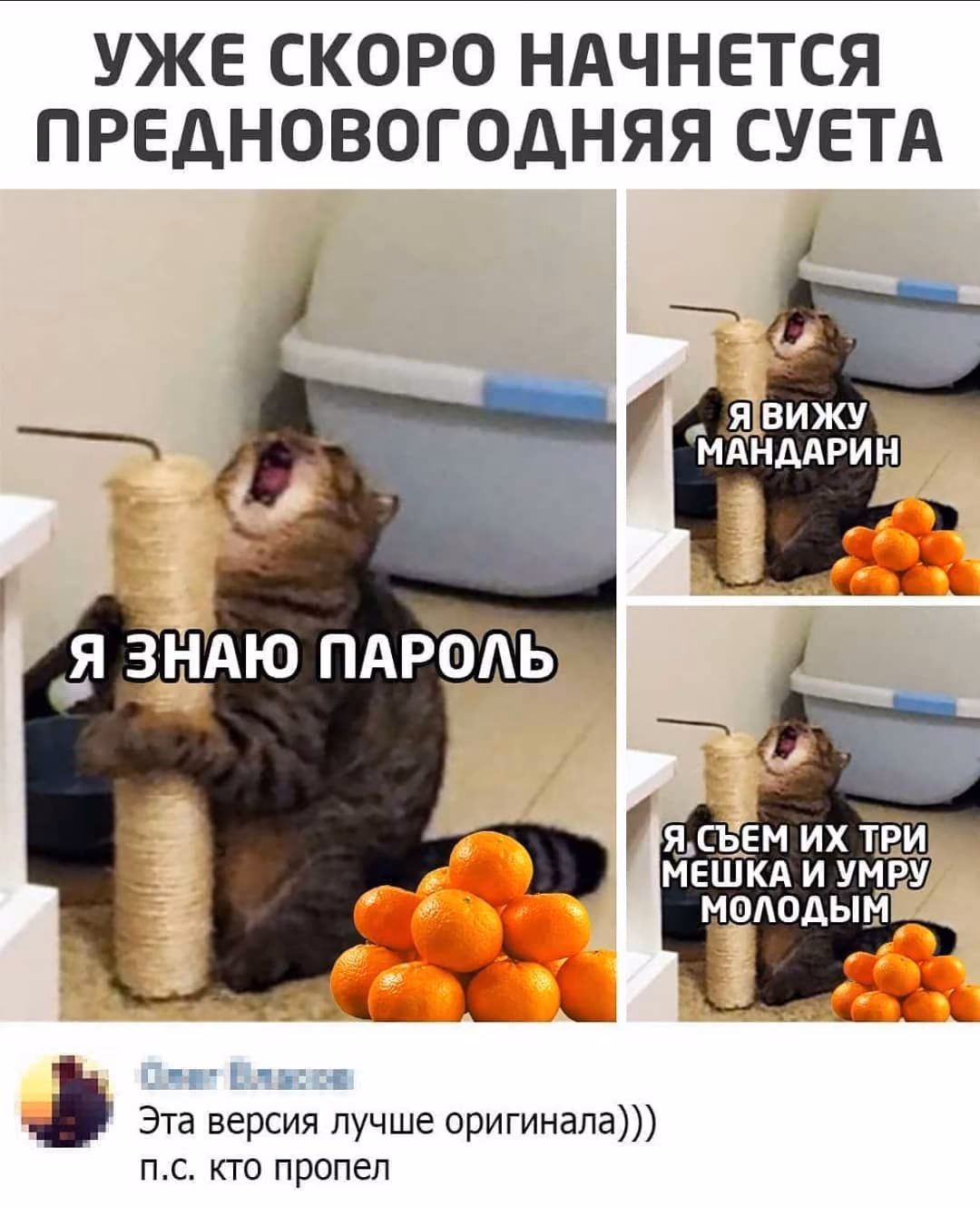 88b08be4d0bbd45082b1e3c4ef03b832.jpg