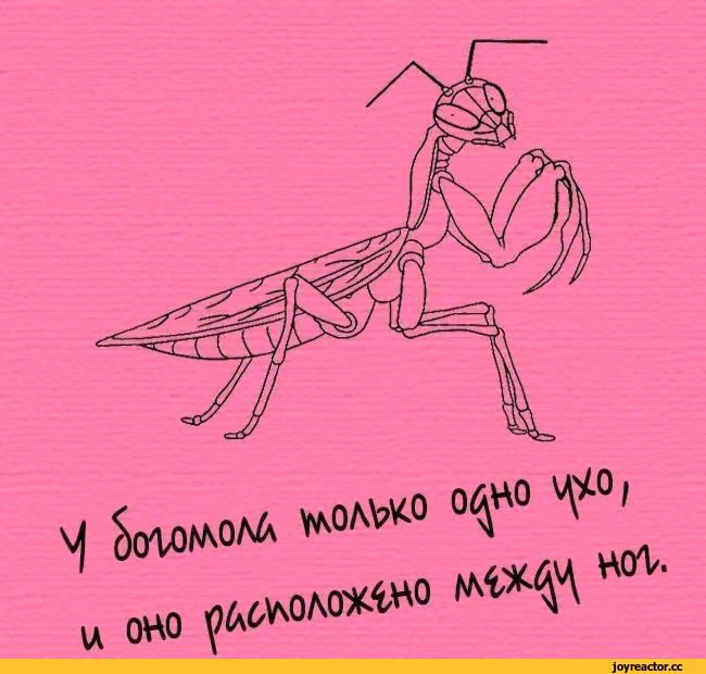 88ca714b8fc96d21c683aa78ea7e3bb6.avif