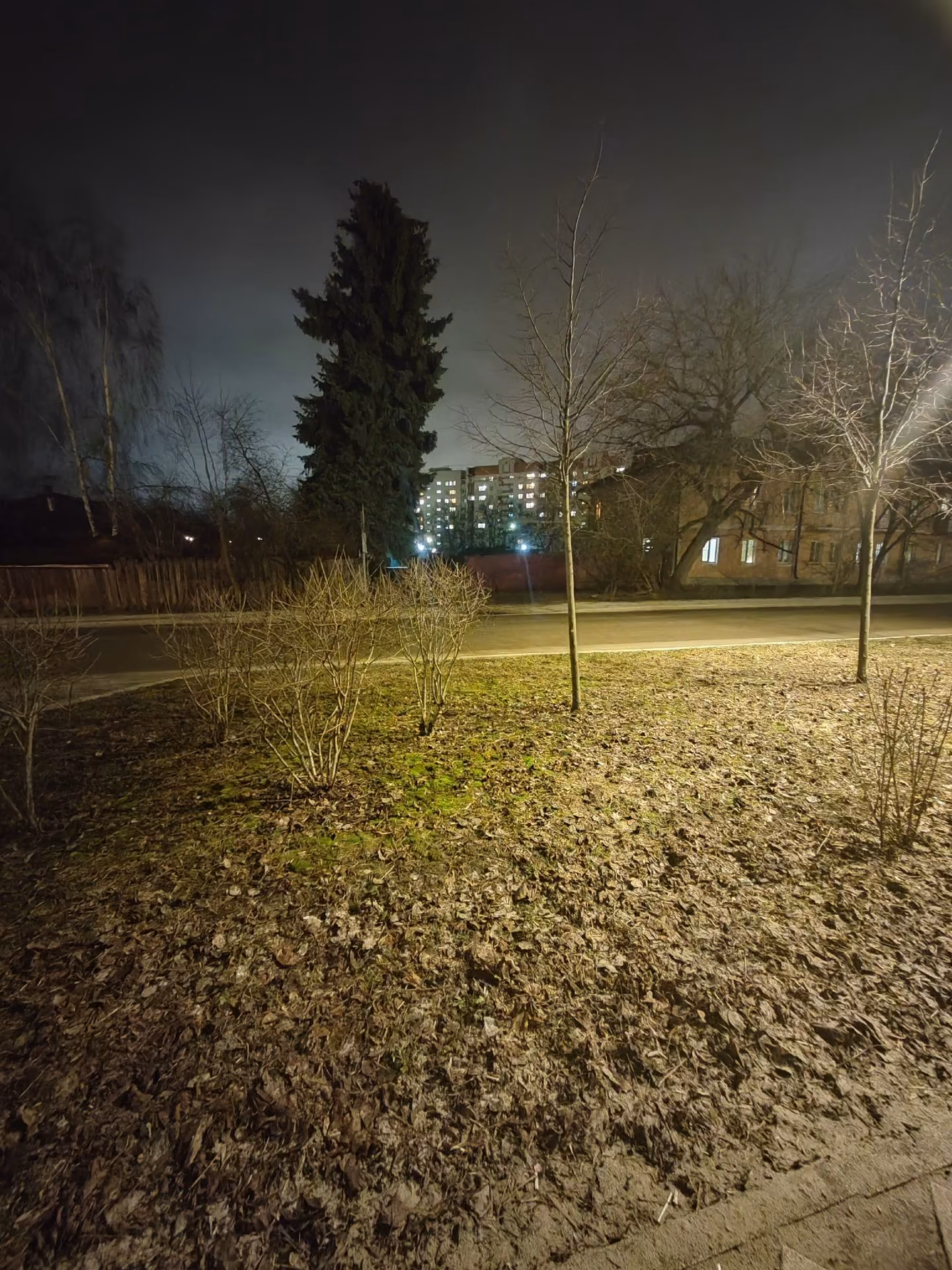 88d508095aeb573946a856d429d997ab.jpg