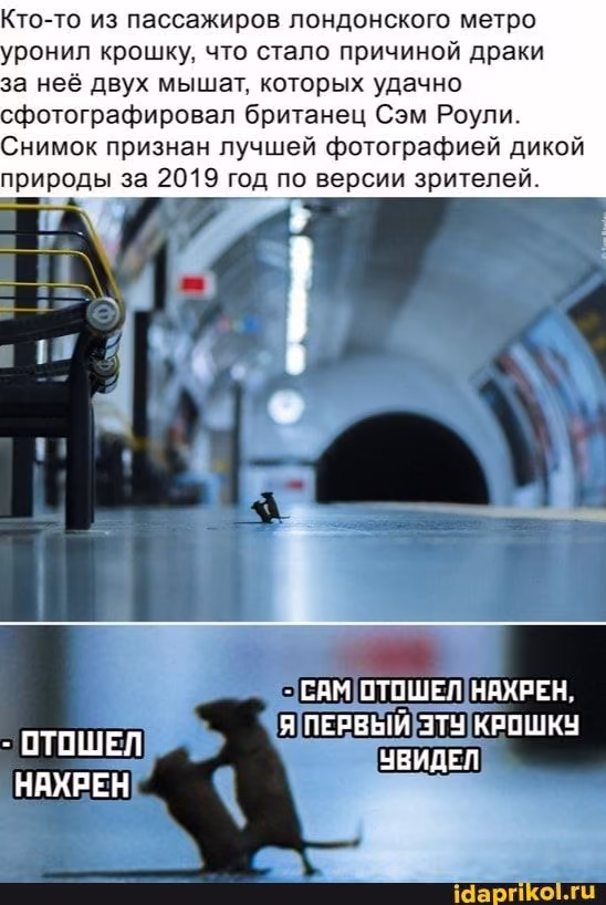 88db2d0edefc5f5c61869a1c6111b259.avif