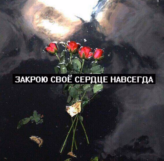 88e72c6e787033a42a8340cbe7d869ac.avif
