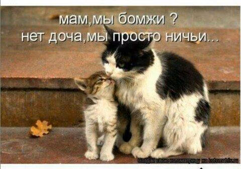 89047ced097fe37f586f405e56a33ef5.jpg