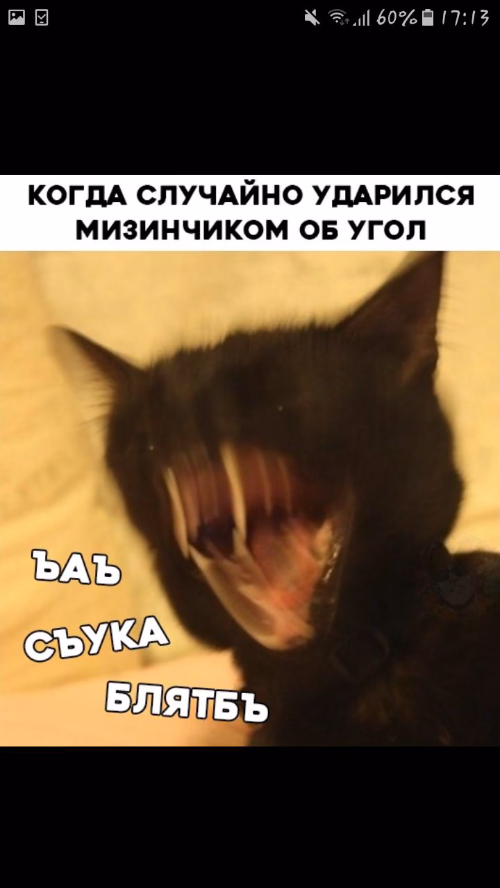 890d53ef445e7eb26c46d5a086df129d.jpg
