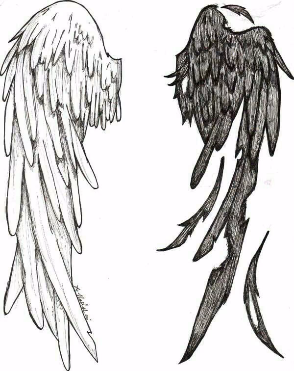 89171256dd88f4f27ca811e2d18b578c.avif