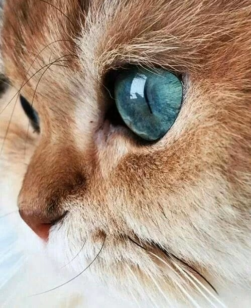 892adedd3def0c919c66bf6cf2f32217.jpg