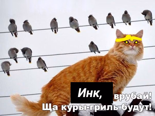 893bf56d9c9bf7005753b2461aa2e042.jpg