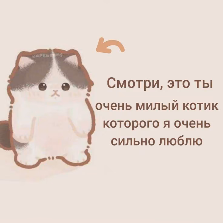 8942559ac10040ec17556392e5a89fb1.avif