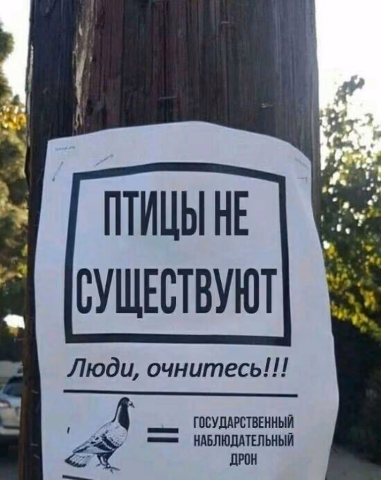 894cf965b0312e9c674f24cf4b30f3ff.avif
