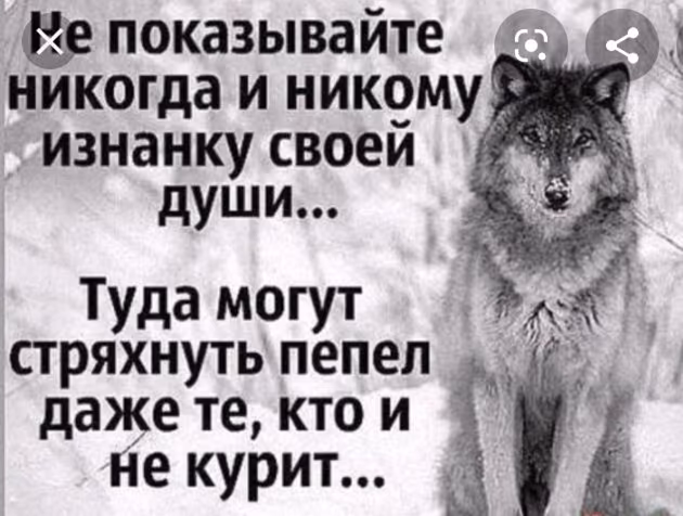895c5ac4040cefad0d8c842d31262022.avif