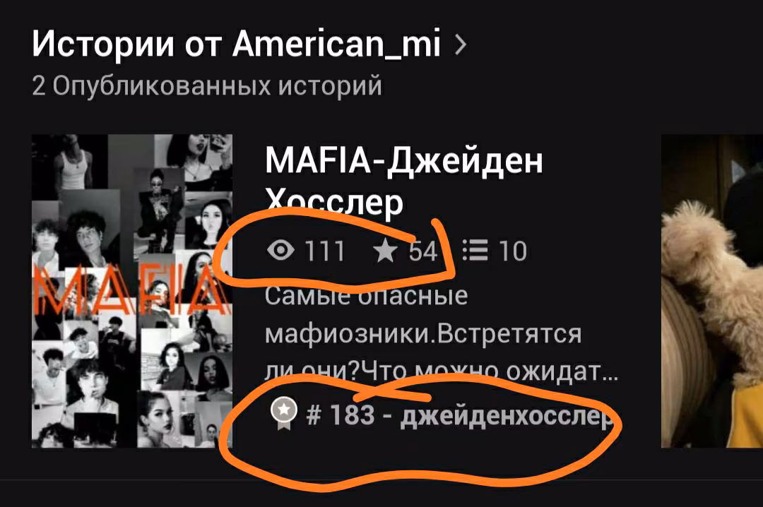 8960994f61341313f12b278385f367ad.avif