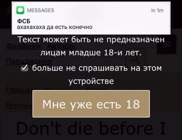 8970e3989cfba2c1a4c2a41af17640e4.avif