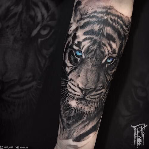 8973277fef6d13fe3055e21cf0a76f6f.jpg