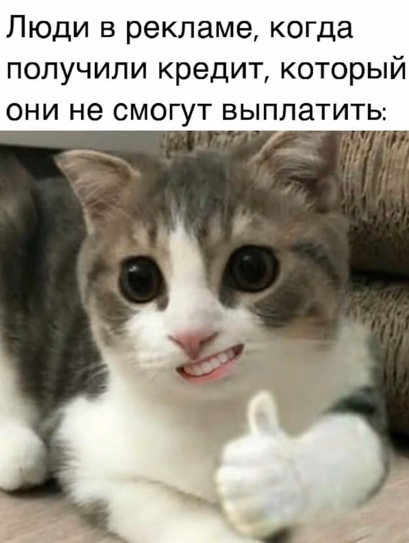 8973409245c42d9728a7c3f584a05991.jpg