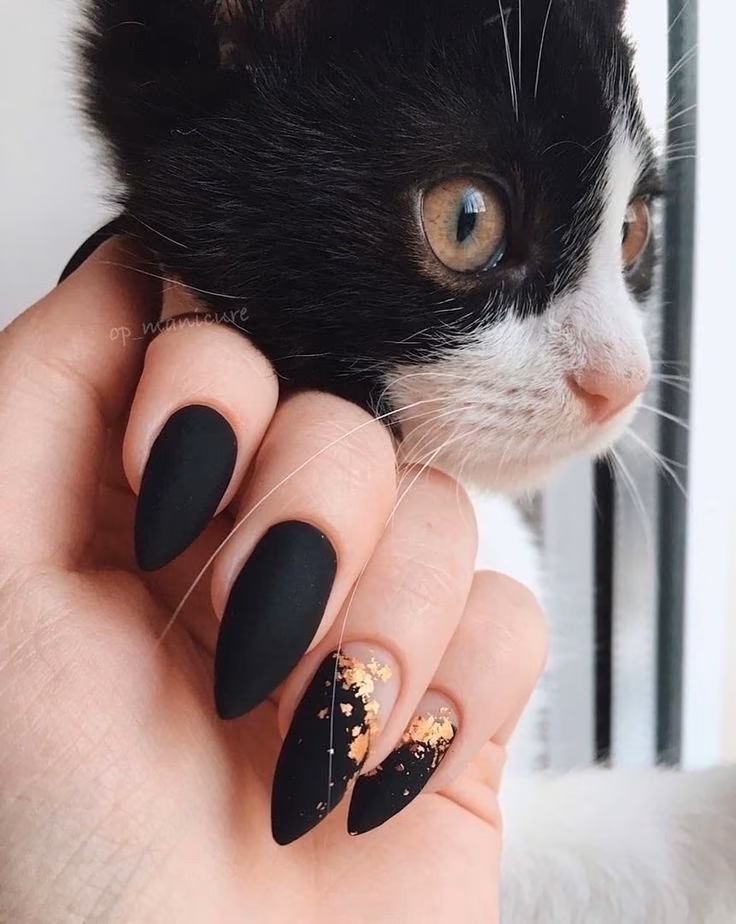 897ab5c7ba24c9b33f2f94f9ffe13118.avif