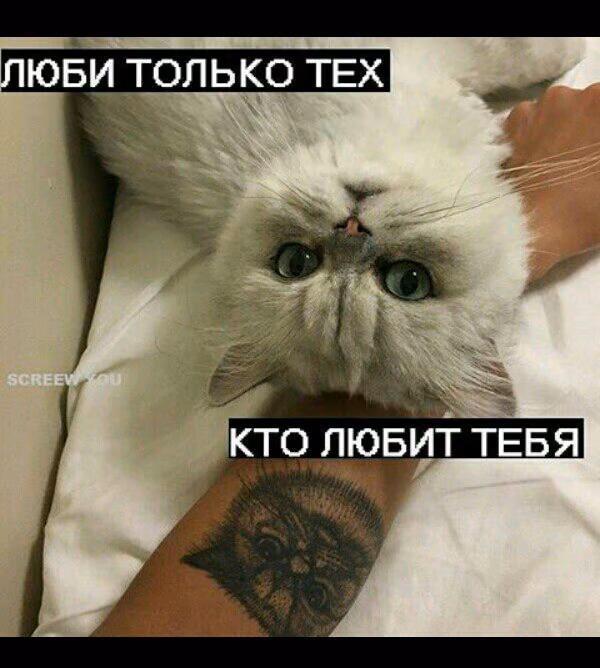 897fbb28403c7299fb99ac2fc9805d5e.jpg