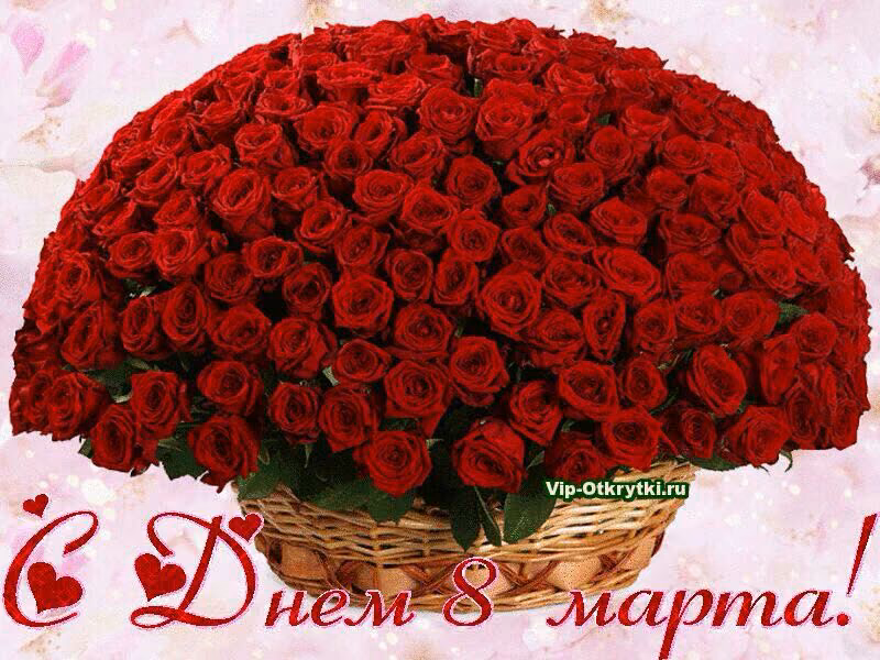 8980ef1b4f92c727effbd53fbd0b3942.avif