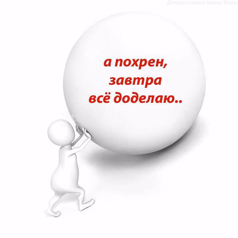 8987938ed0b7e14cf2ecce08136fcb4e.avif
