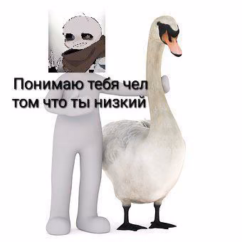 899642828f41280f287f6cf2020d1931.jpg