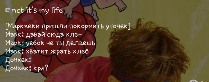 89a9a14307530a98854c3b33258a7805.avif
