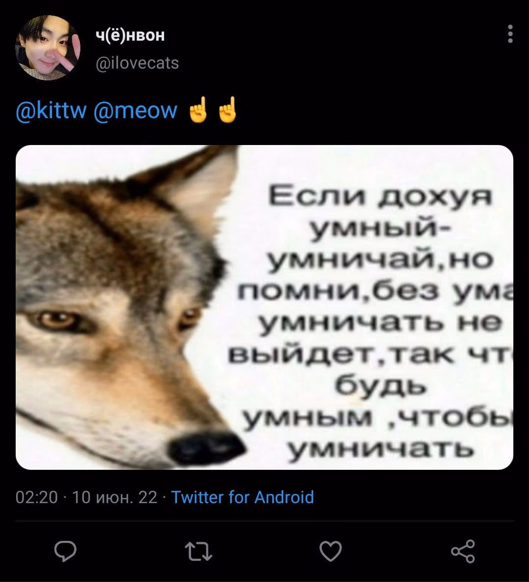 89b779f71b9b1f136375e12238993348.jpg