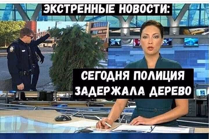 89b918ce795500853cb95492f23529a6.avif