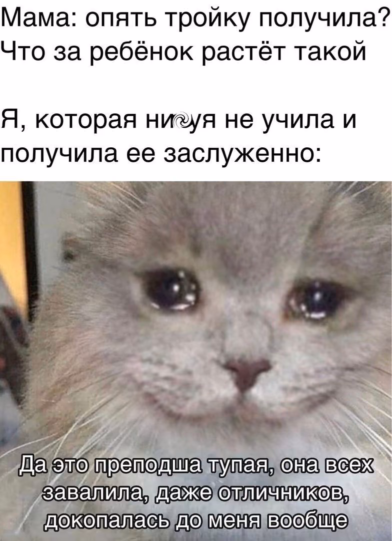 89ba255939eff970920df7a963b562da.jpg