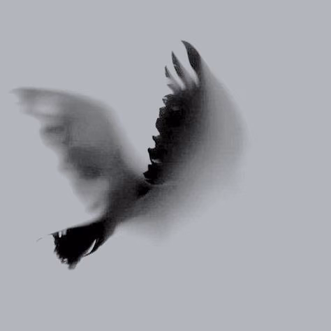 89bc4ae081242991b597606bd498f0b4.avif