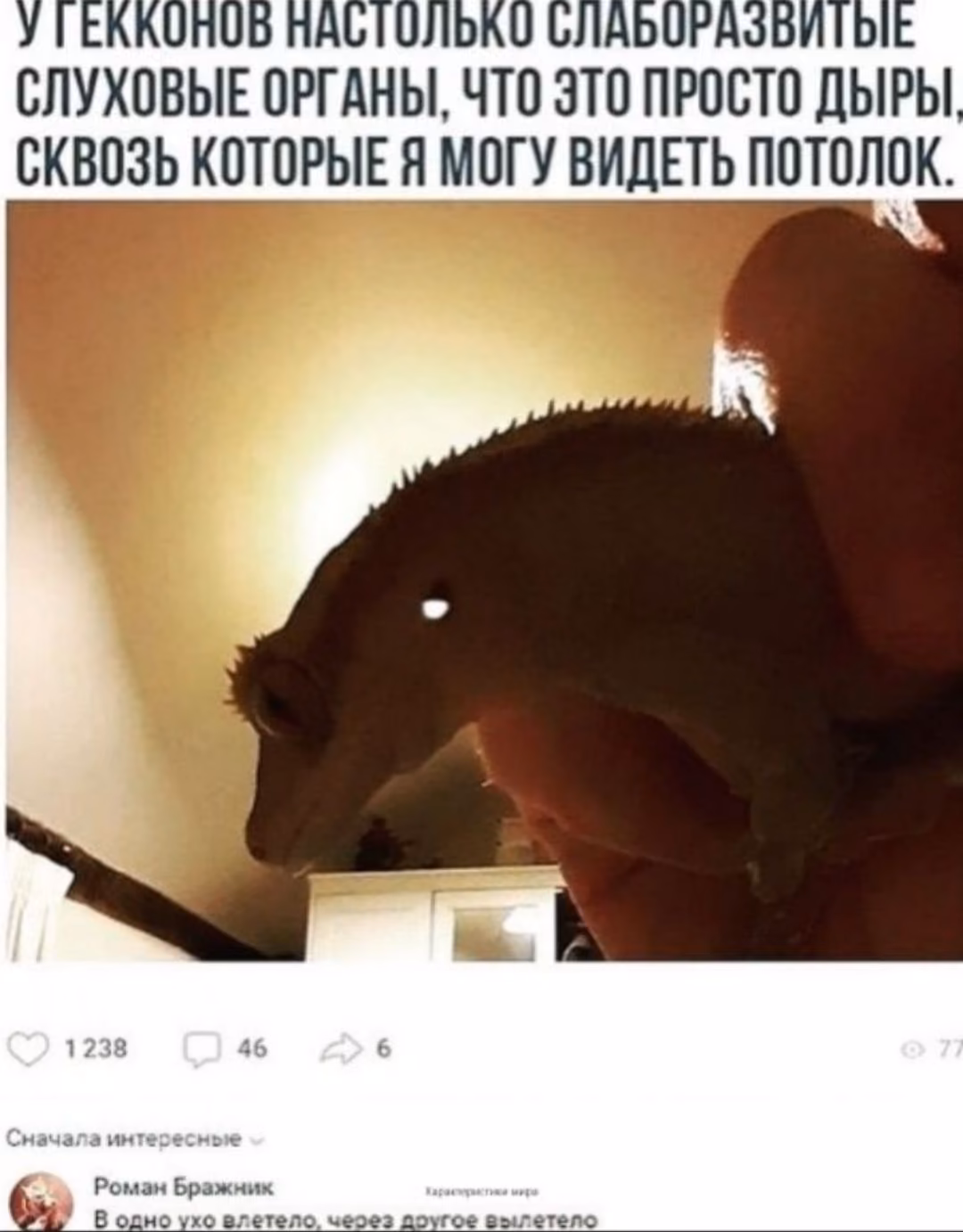 89cc30f9c48e6a46110c602d679a2125.jpg