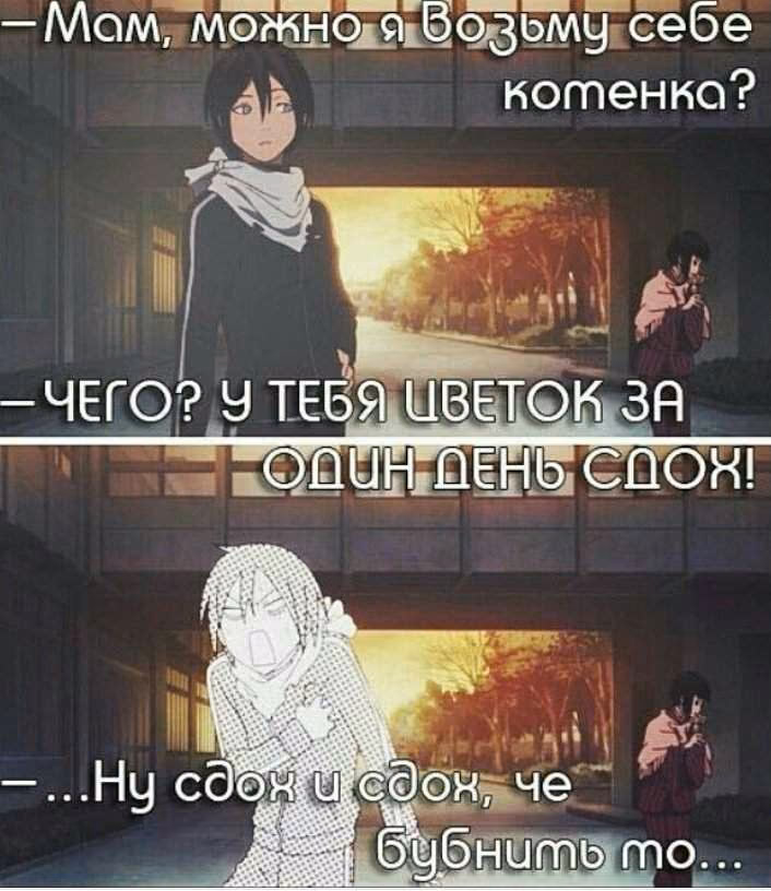 89ccb51a83a650625974d9e0512a195c.avif