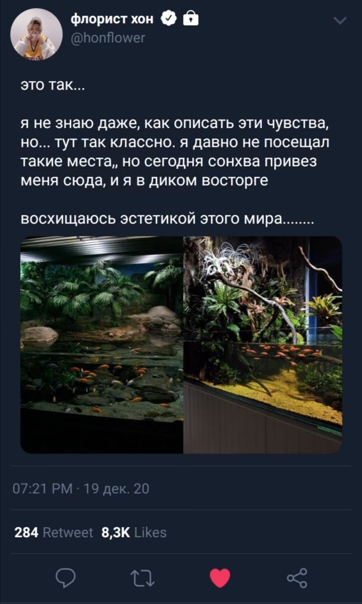 8a1c3ae94e63392bae987256731c1f36.jpg