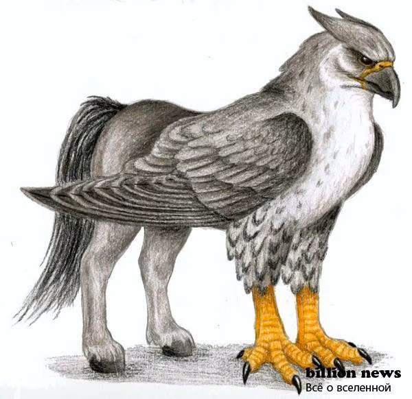 8a24ea598d80db05f6c4c2023db72c94.avif