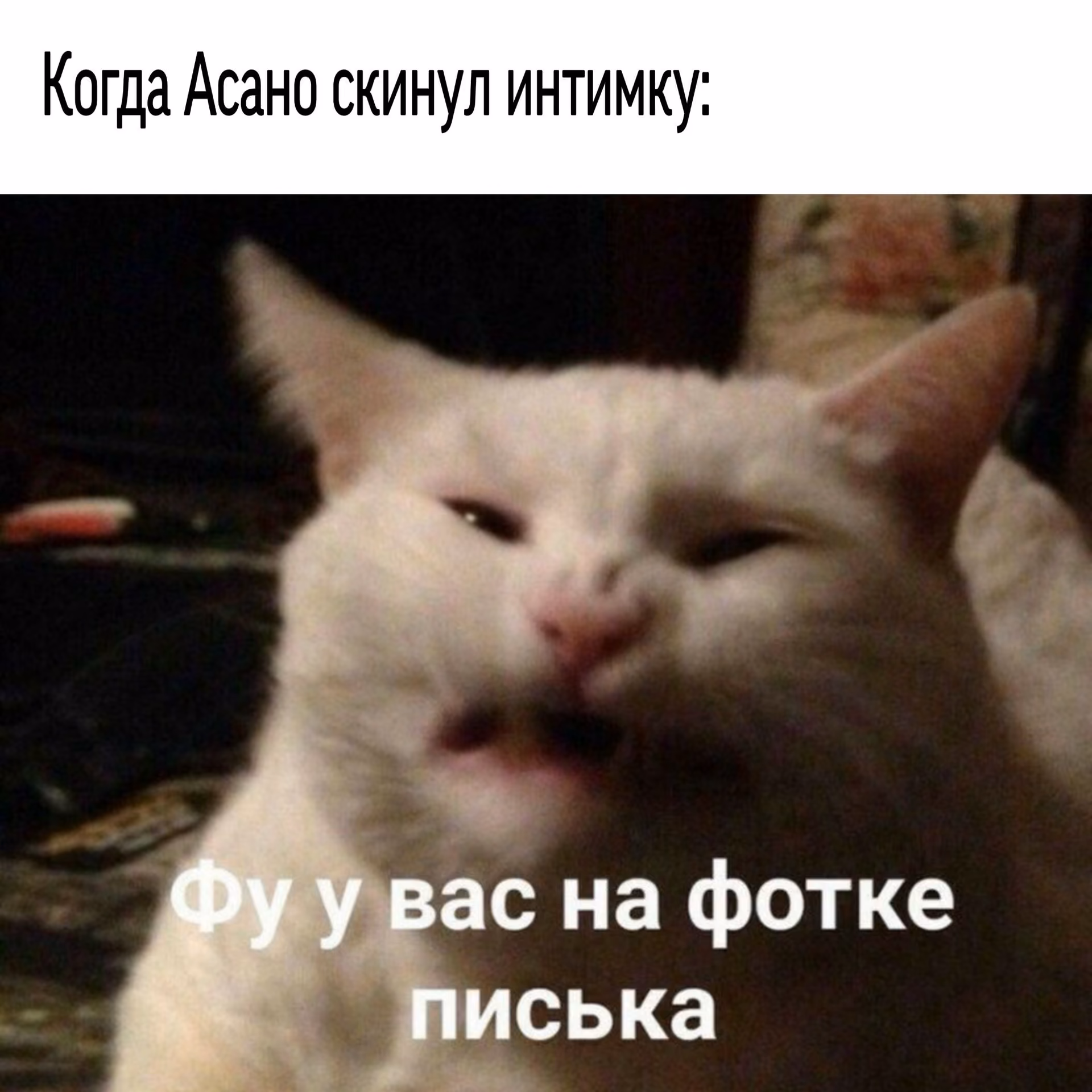 8a255d3c9116634eb7a6495098ba5936.avif