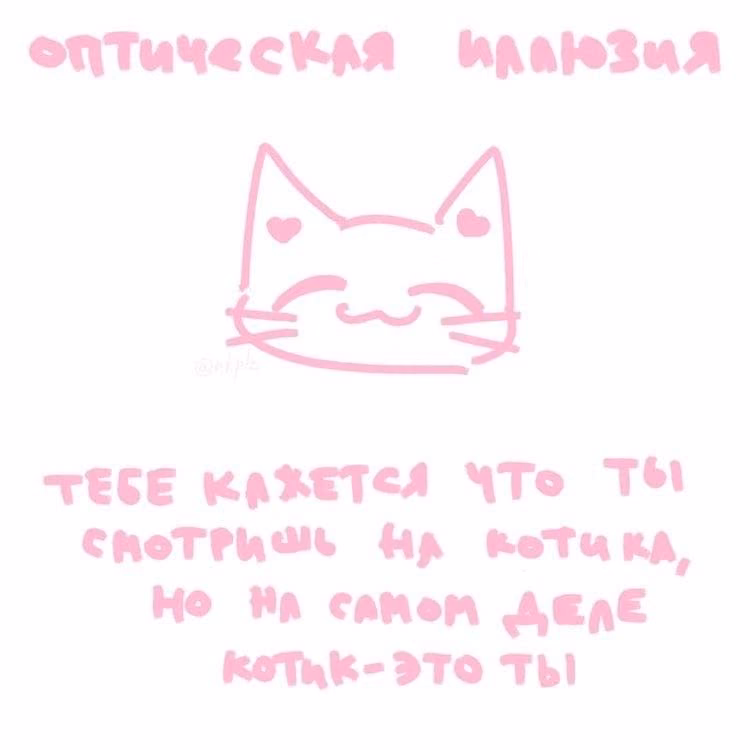 8a4e85e3a2806c2e11de0e59ee79fa63.avif