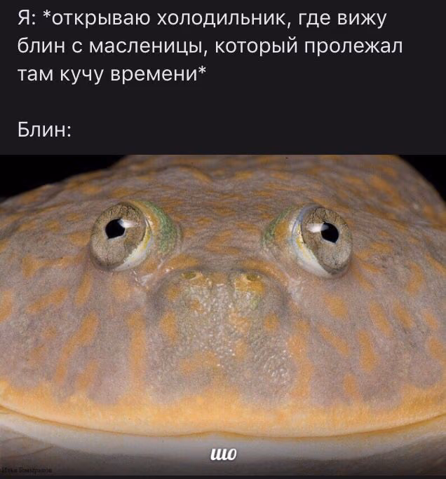 8a4e9f80ce8a8cb650a6df9d4271c2f5.jpg