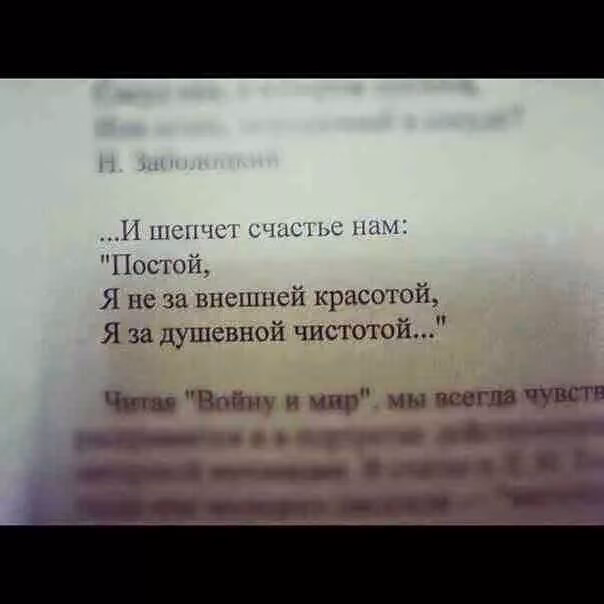 8a569e98f4257b80c4ede8bf61c1b830.avif