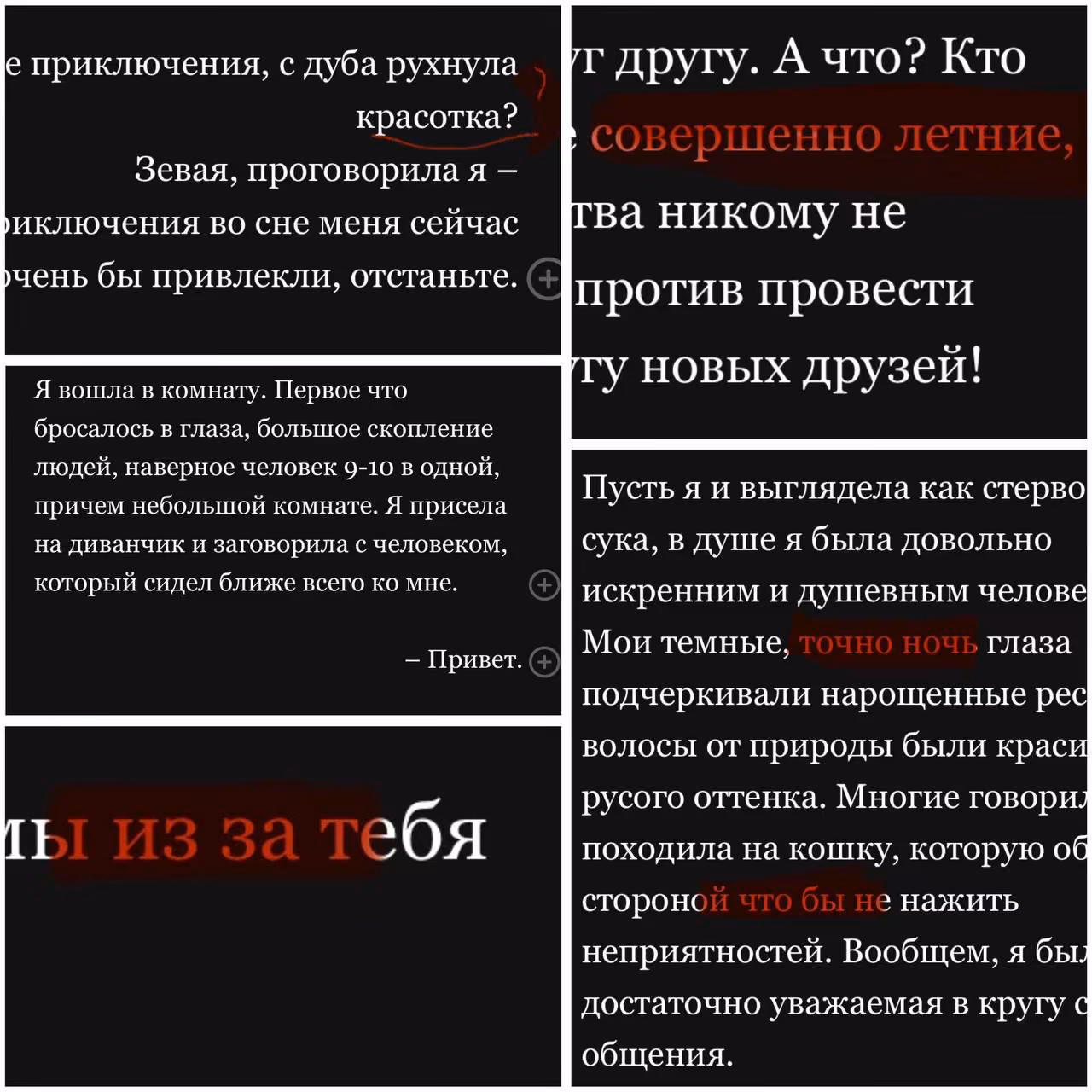 8a6185fa142e85720ea6da903ac1f20c.avif