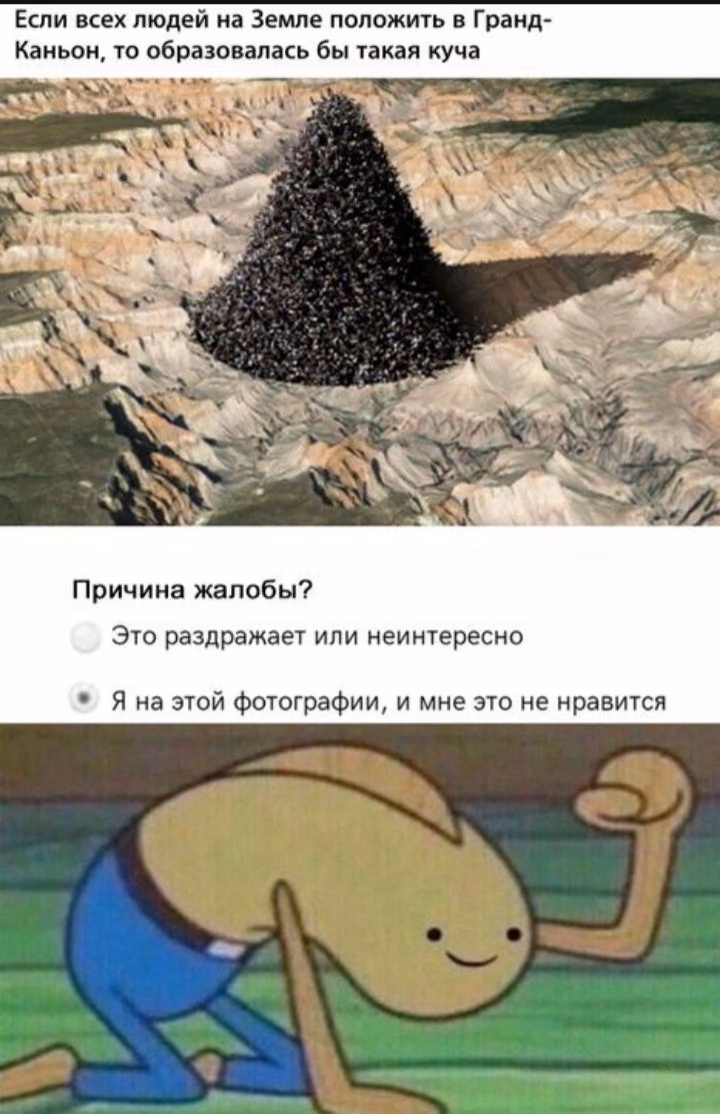 8a639e12450385d65212c89712eedd0d.avif