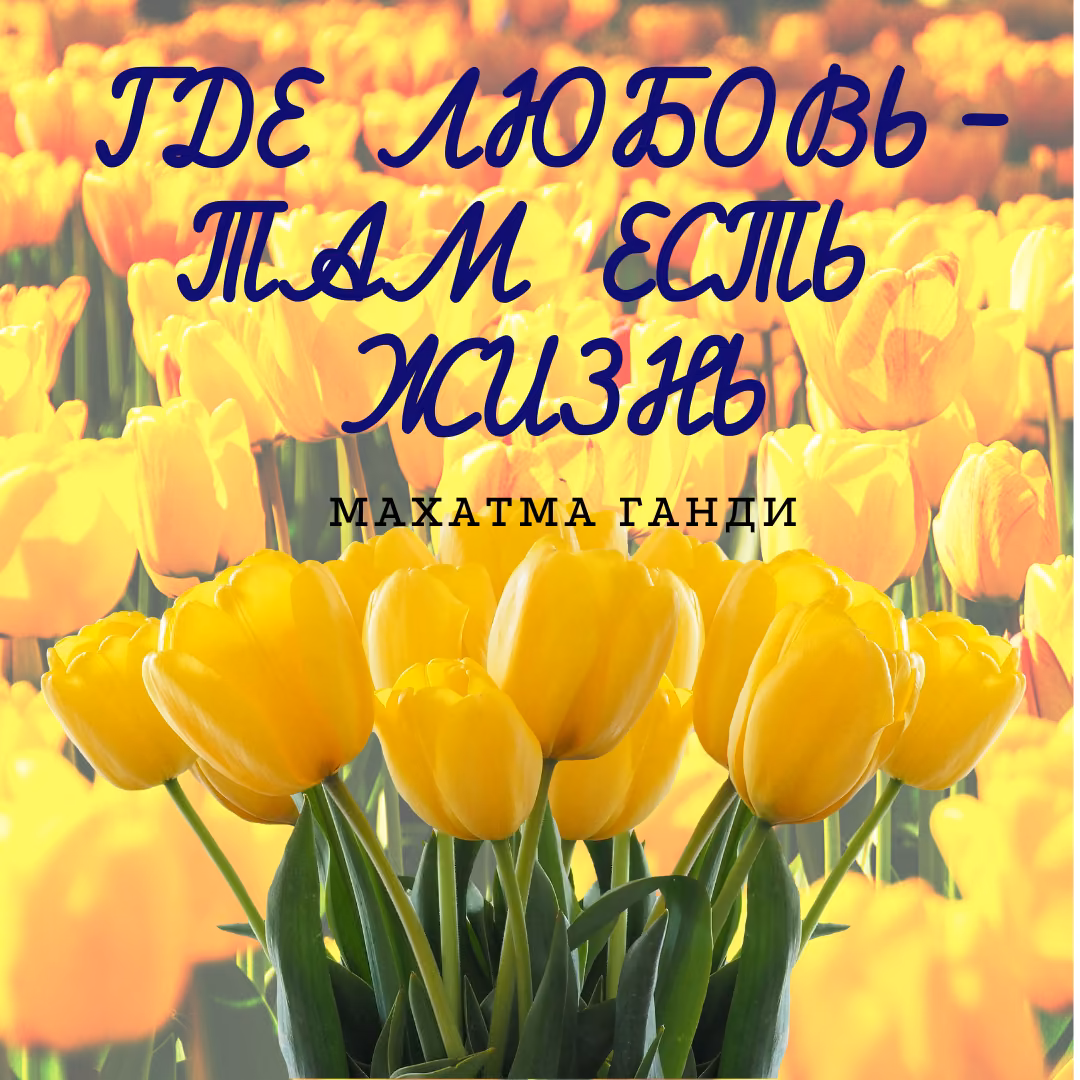 8a7441c5ebc3d7c7ad77e00ed1f99354.jpg