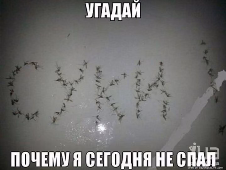 8a7de33f2e1f71e9d1f4bfe85d280aaa.jpg