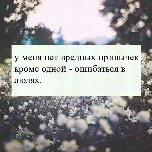 8a869959d744c5b788f77f9f270b94c8.avif